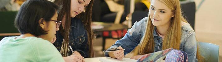 11. Sınıf Kursları