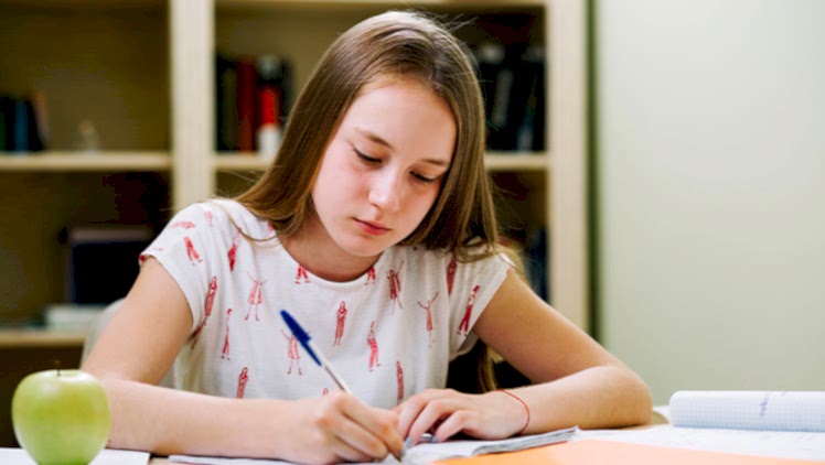 LGS’de Başarınızı Artıracak Stratejiler